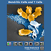 cell systems intiative